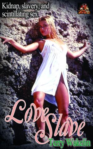 Cover of the book Love Slave by Becky Bell