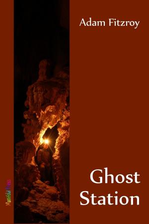 Book cover of Ghost Station