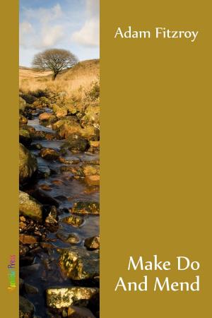 Book cover of Make Do And Mend