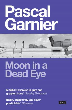 Cover of the book Moon in a Dead Eye by Pascal Garnier