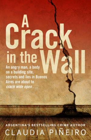 Cover of the book A Crack in the Wall by Claudia Piñeiro