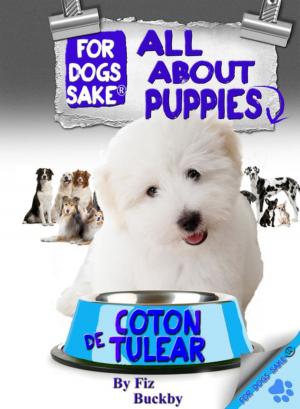 Cover of the book All About Coton de Tulear Puppies by Jack Sparrow