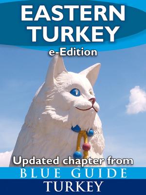 bigCover of the book Blue Guide Eastern Turkey by 