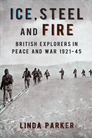 Cover of the book Ice Steel and Fire by Steve Corbett