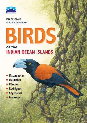 Cover of the book Birds of the Indian Ocean Islands by Jacques Claassen