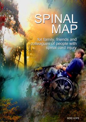 Cover of the book SpinalMap by Helen Nowlin
