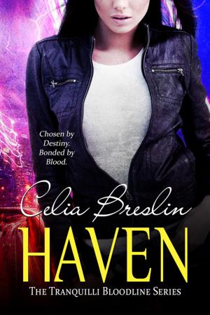 Cover of the book Haven by Linda Thomas-Sundstrom
