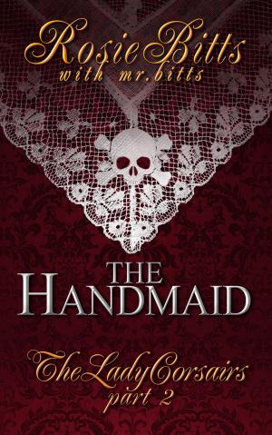 Cover of the book The Handmaid by A J Lyne