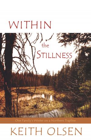 Cover of the book Within the Stillness by Allan Kehler