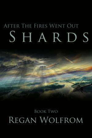 Cover of the book After The Fires Went Out: Shards by Yolanda Diamond