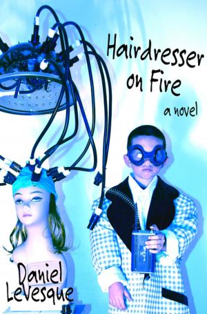 Cover of the book Hairdresser on Fire by Adrienne Su