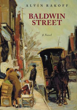 Book cover of Baldwin Street