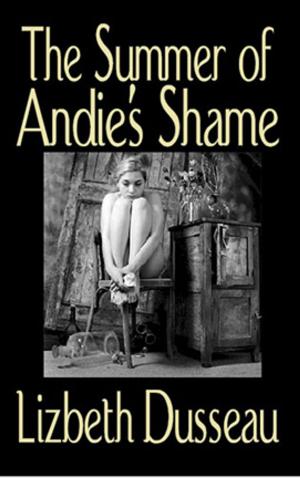 Book cover of The Summer of Andie's Shame