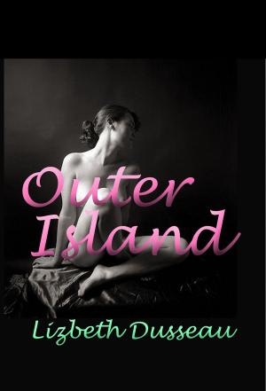 Cover of the book Outer Island by Chris Bellows