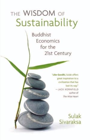 Book cover of The Wisdom of Sustainability