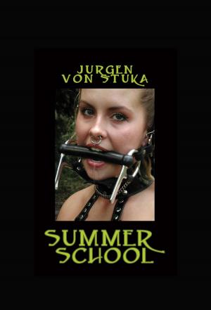 Book cover of Summer School