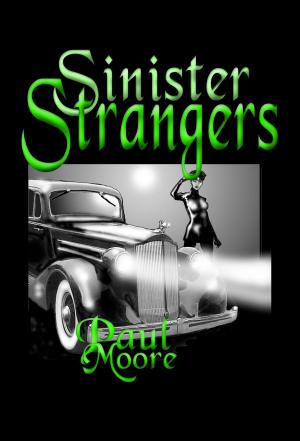 Cover of the book Sinister Strangers by Linda Rae Sande