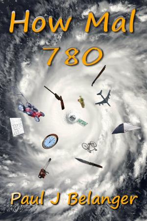Cover of the book How Mal 780 by Jamie Alan Belanger