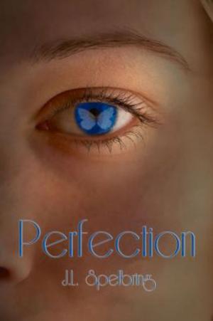 Cover of the book Perfection by Jennifer Murgia