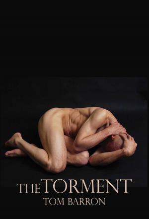 Cover of The Torment