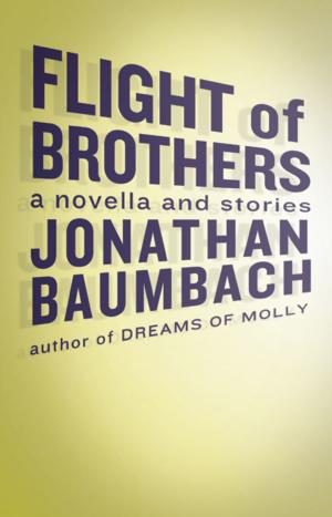 Book cover of Flight of Brothers