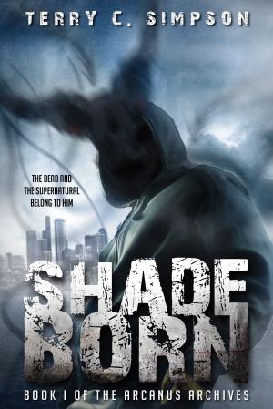 Cover of the book Shadeborn by Trista Frank