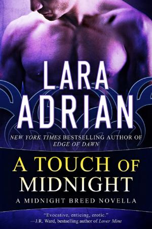 Book cover of A Touch of Midnight