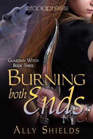 Cover of the book Burning Both Ends by Riley James