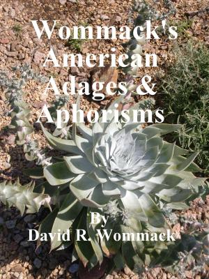 Book cover of Wommack's American Adages & Aphorisms: That Propelled 20 Generations