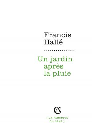 Cover of the book Un jardin après la pluie by Camille Tiano, Clara Loïzzo