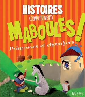 Cover of the book Histoires (complètement) maboules - Princesses et chevaliers by Benoît Grelaud