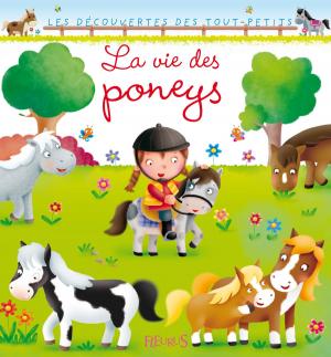 Cover of the book La vie des poneys by Nathalie Bélineau, Émilie Beaumont, Sylvie Michelet