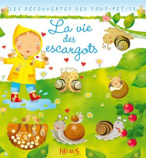 Cover of the book La vie des escargots by Bruno Guillou, Nicolas Sallavuard, François Roebben, Nicolas Vidal