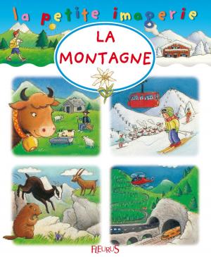 Cover of the book La montagne by Charlotte Grossetête