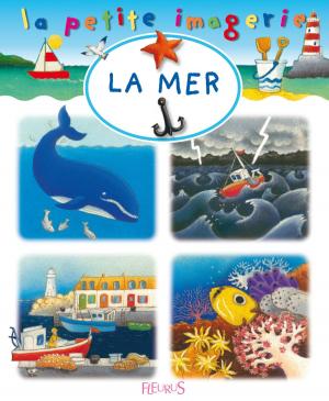 Cover of the book La mer by Kochka, Stéphanie Tesson, Emmanuel Viau, Victoire Labauge, Freddy Woets, Marie Tenaille, Gilbert Schlogel, Franck Pavloff, Jacques Daniel