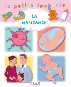 Book cover of La naissance