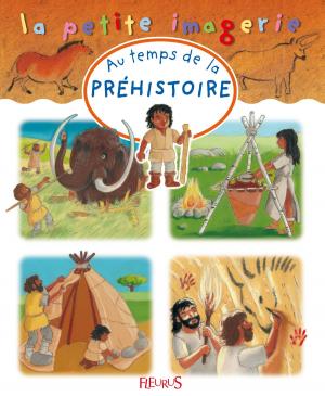 Cover of the book Au temps de la préhistoire by Ghislaine Biondi, Delphine Bolin