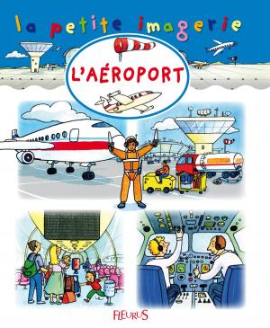 Cover of the book L'aéroport by Vincent Villeminot
