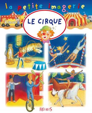 Cover of the book Le cirque by Nathalie Bélineau, Émilie Beaumont