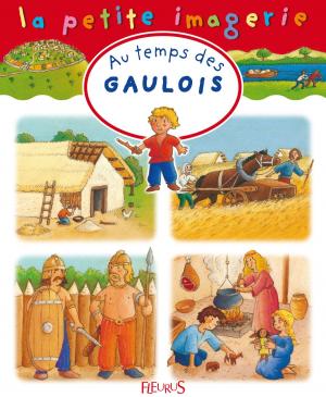 Cover of the book Au temps des Gaulois by Mireille Valant, Florence Vandermalière, Marie Petitcuénot, Eléonore Cannone, Élisabeth Gausseron