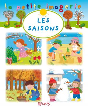 Cover of the book Les saisons by Béatrice Egémar