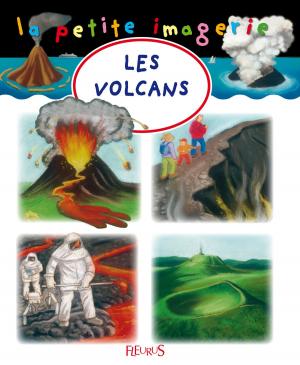 Cover of the book Les volcans by Béatrice Egémar