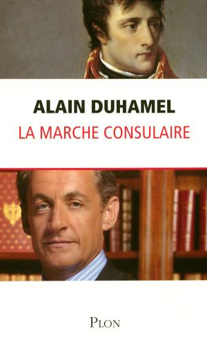 Cover of the book La marche consulaire by Amy HATVANY