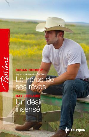 Book cover of Le héros de ses rêves - Un désir insensé
