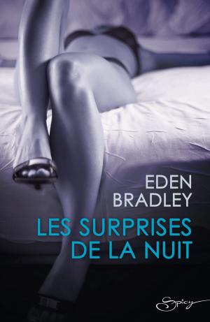 Cover of the book Les surprises de la nuit by Diana Palmer