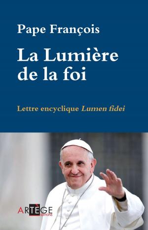 Cover of the book La Lumière de la foi by Nicolas Blanc