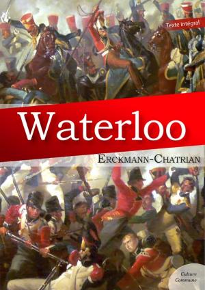 Cover of the book Waterloo by Guy De Maupassant