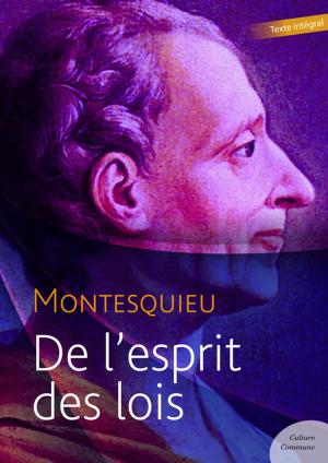 Cover of the book De l'esprit des lois by Alfred de Musset