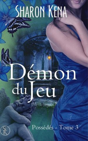 Book cover of Démon du Jeu