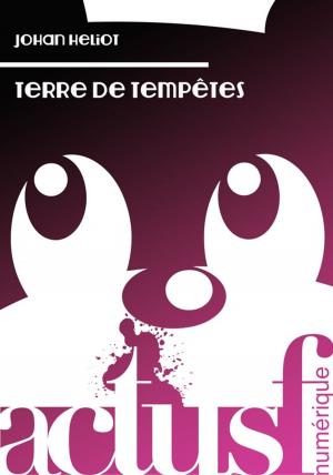 Cover of the book Terre de tempêtes by David Coulon